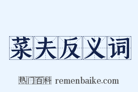 菜夫反义词是什么意思的图片